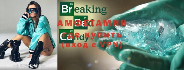 индика Приозерск