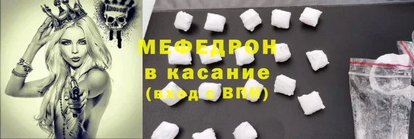 spice Богородицк