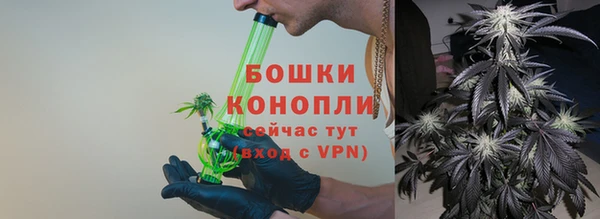 стаф Белокуриха