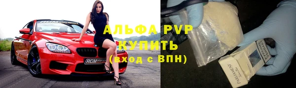стаф Белокуриха
