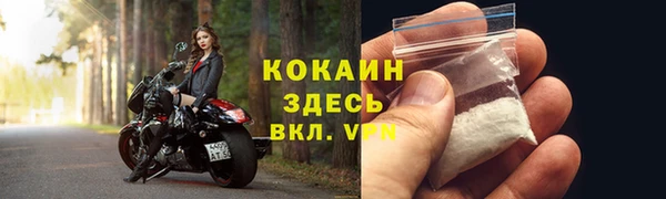 spice Богородицк