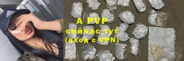 стаф Белокуриха