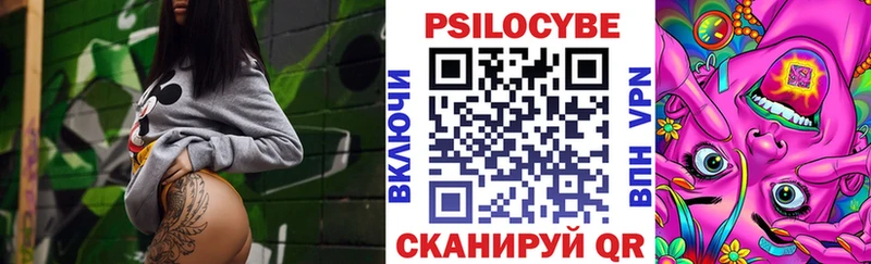 Купить закладки  Нестеров  Галлюциногенные грибы Cubensis 